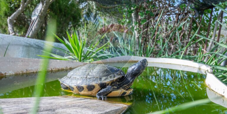 2025030595328-929121-11