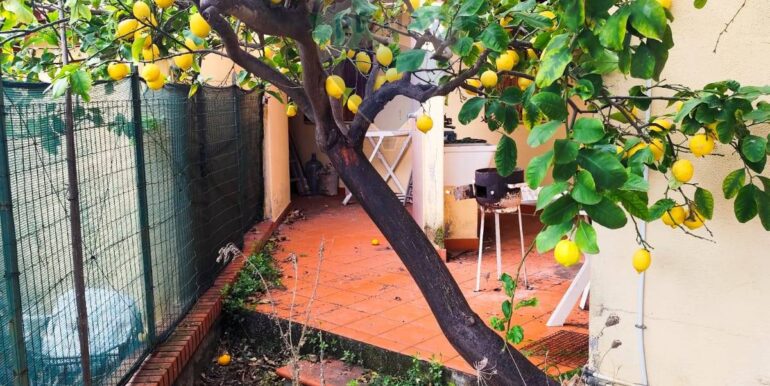 20250308204538-934850-14