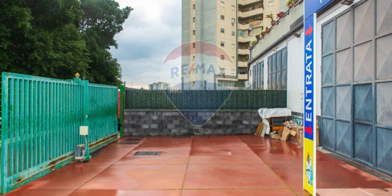 20250310180242-935432-7