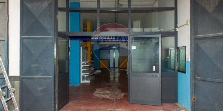 20250310180246-935432-9