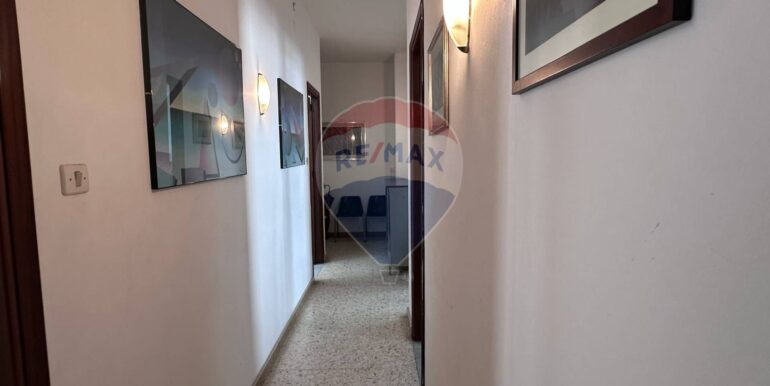 20250310181116-935556-6