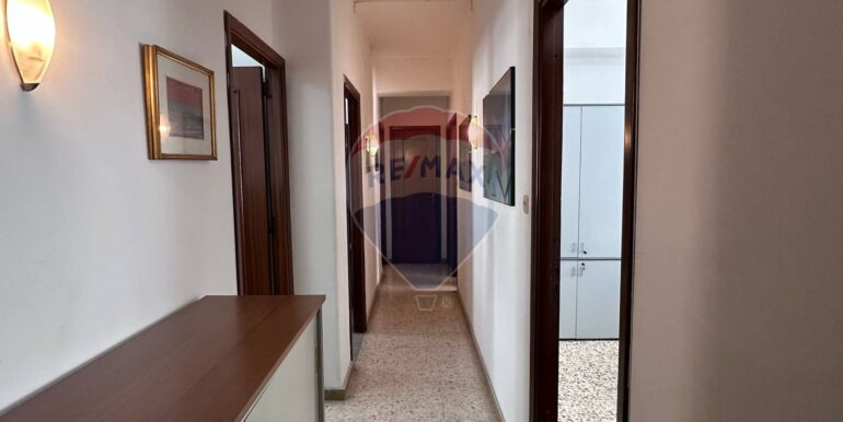 20250310181117-935556-7