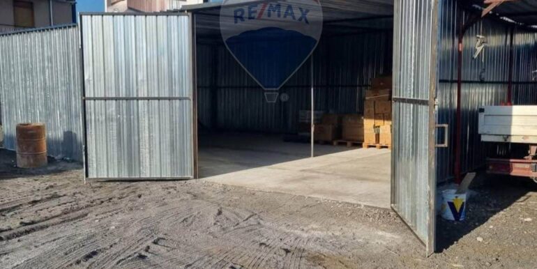 2025031594159-936533-4