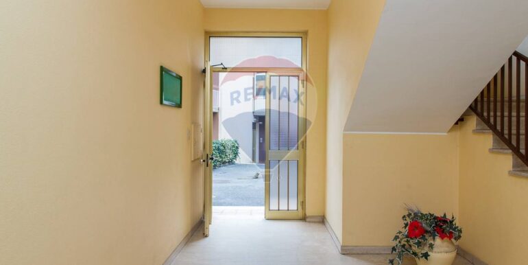 20250317105338-936625-6