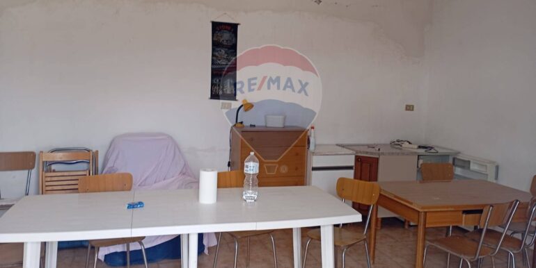 20250317114641-936658-5