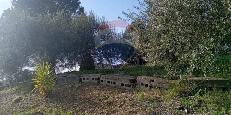 20250317114643-936658-6