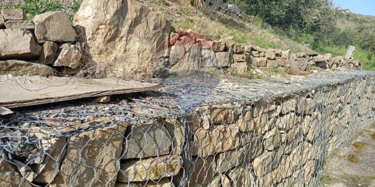 20250317114650-936658-8