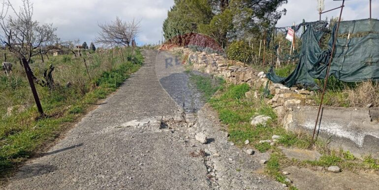 20250317114653-936658-9