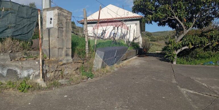 20250317114657-936658-10