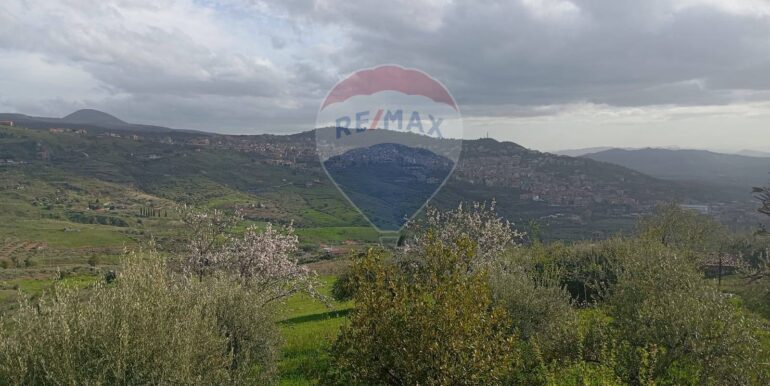 20250317114700-936658-11