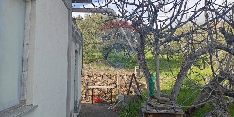 20250317114713-936658-15