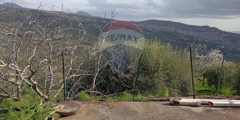 20250317114716-936658-16