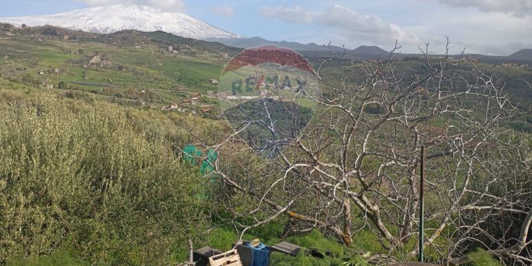 20250317114719-936658-17