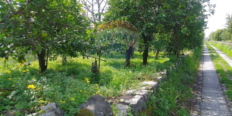 20250326111650-938442-1