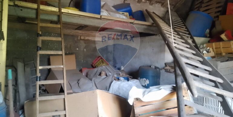 20250326111657-938442-3