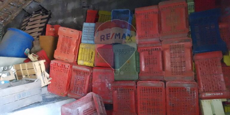 20250326111701-938442-5