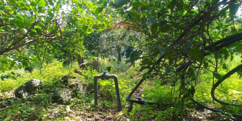 20250326111714-938442-7