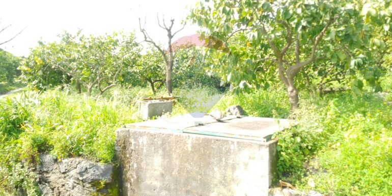 20250326111723-938442-9