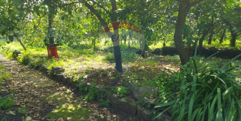 20250326111727-938442-10