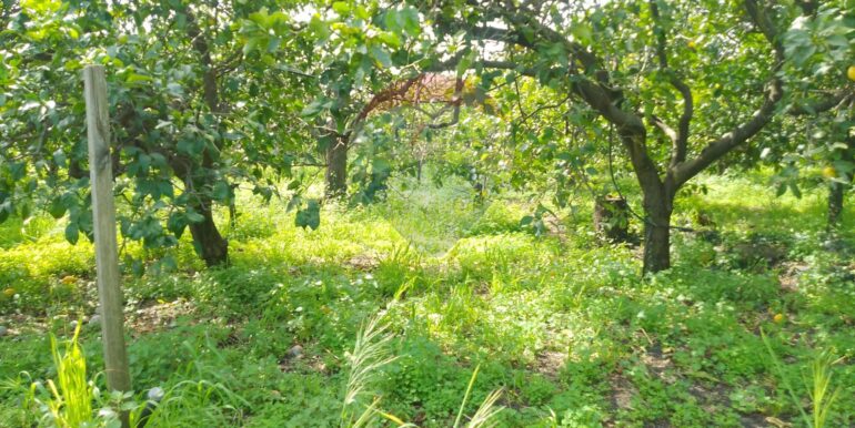 20250326111732-938442-11