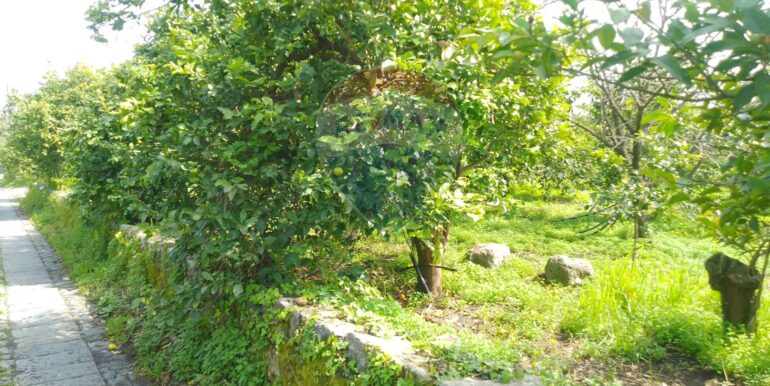 20250326111735-938442-12