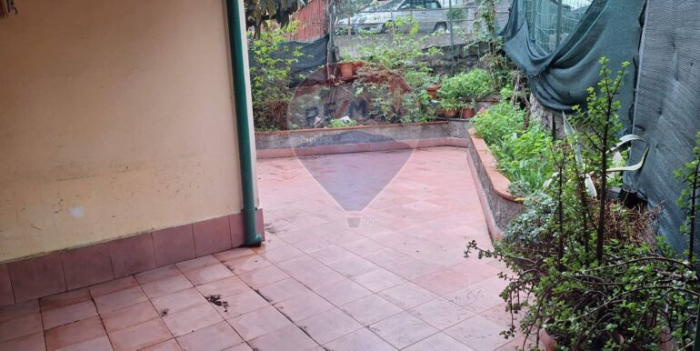 20250326125158-938976-1