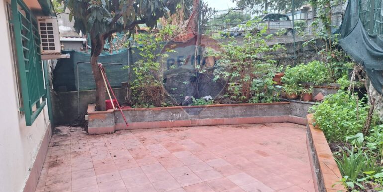 20250326125201-938976-2