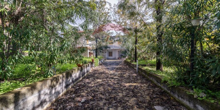 20250330121655-939437-9