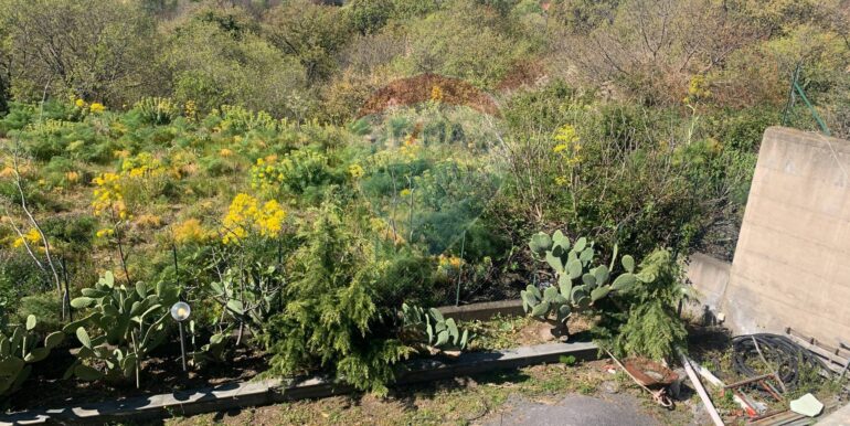 20250331192327-940022-13