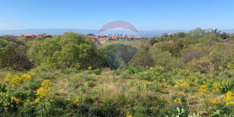 20250331192327-940022-14