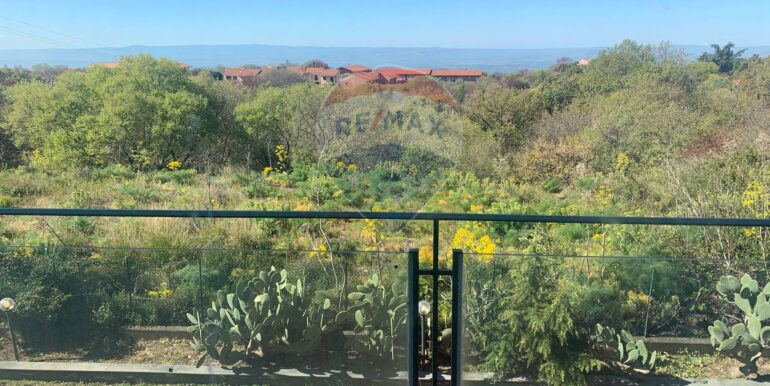 20250331192639-940024-8