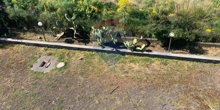 20250331192911-940025-19