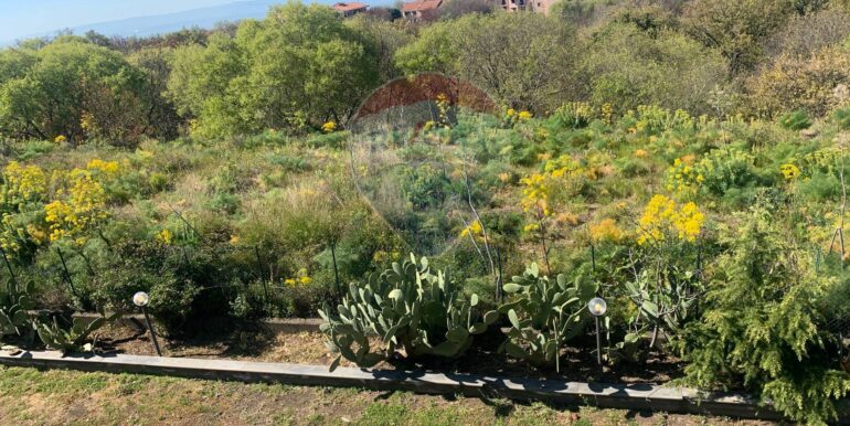 20250331193418-940029-12