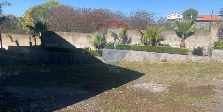 20250331193704-940031-1