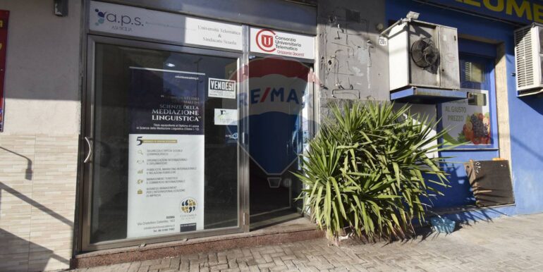 20250403121217-941533-21