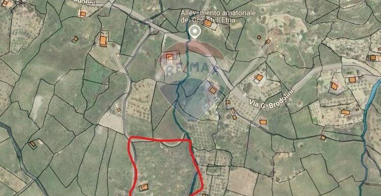 20250409155035-936658-20