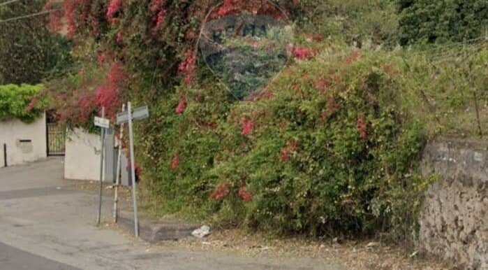 20250415233240-944170-1