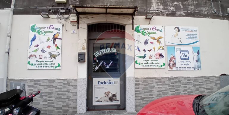 20250417151028-937249-1