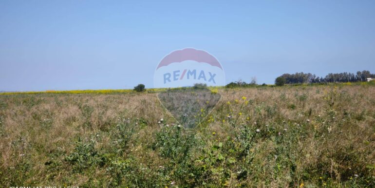 20250417151702-944513-3