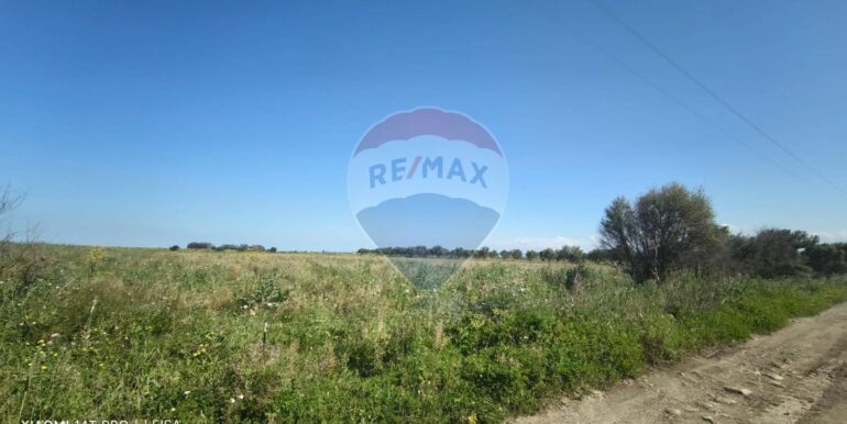 20250417151703-944513-4