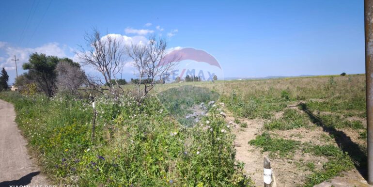 20250417151709-944513-6