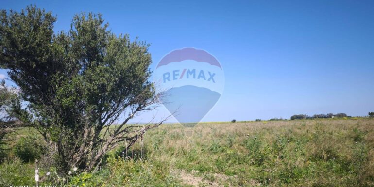 20250417151711-944513-7