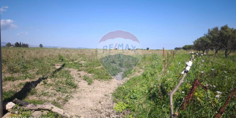 20250417151718-944513-9