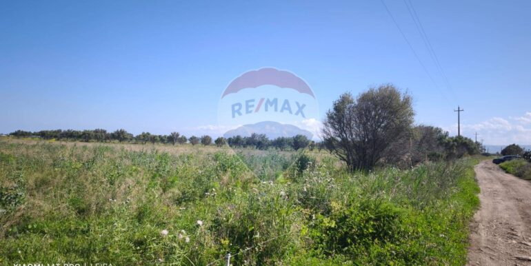 20250417151721-944513-10