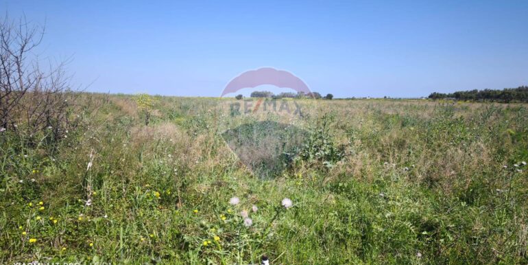 20250417151727-944513-12