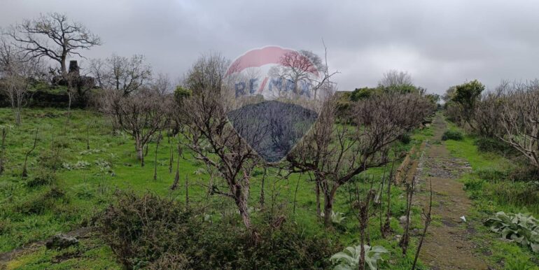 20250417163351-938383-2