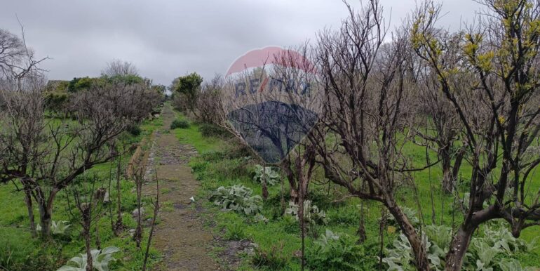 20250417163353-938383-3