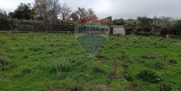 20250417163357-938383-5