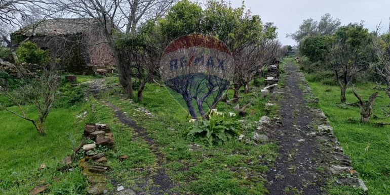 20250417164144-938386-2