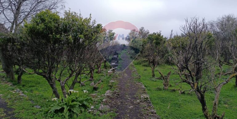 20250417164147-938386-3